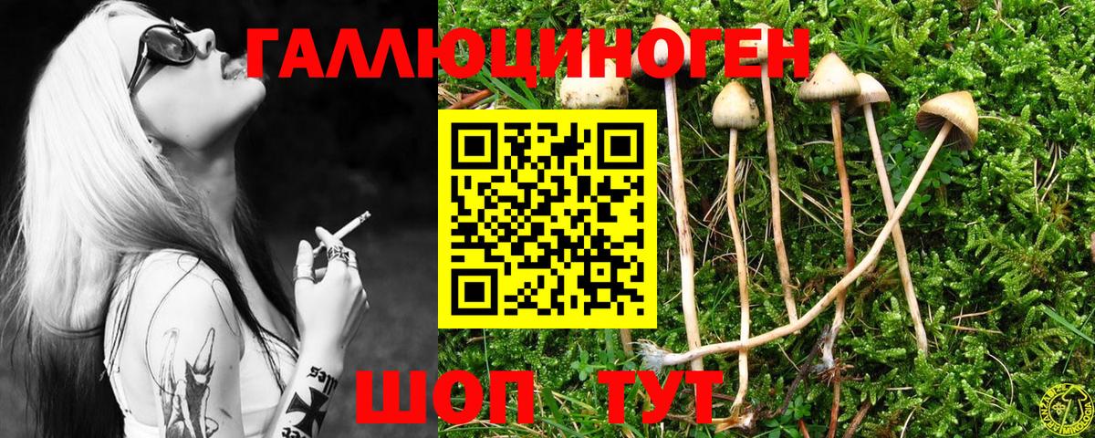 Малоярославец  Псилоцибиновые грибы Cubensis  Вход с VPN 