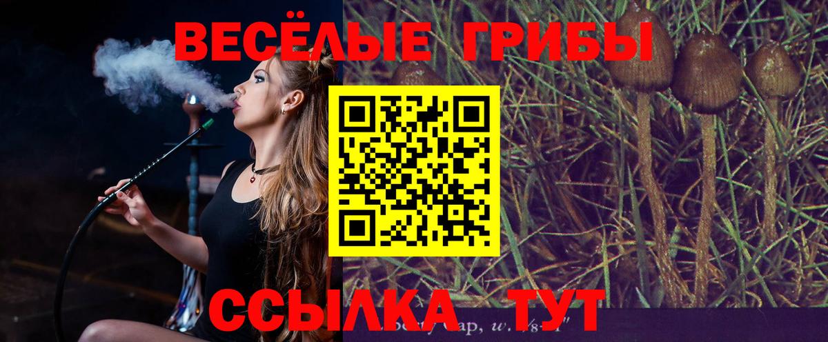 Псилоцибиновые грибы прущие грибы Малоярославец